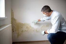 Best Mold Remediation for Healthcare Facilities  in Springfield, TN